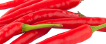 isolated-red-chilli-on-transparent-background-free-png